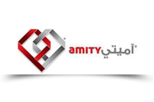 Amity Insurance